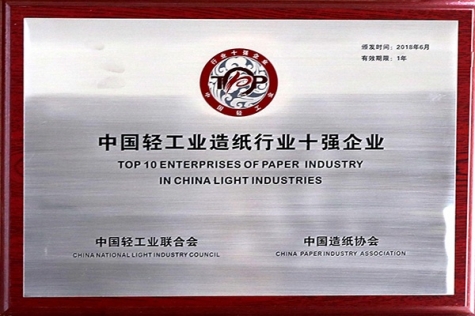 中(zhong)國(guo)輕工(gong)業造(zao)紙行業十強齊(qi)業